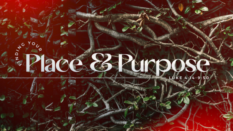 Finding Your Place & Purpose: Luke 4:14-9:50 Bible Study Series with a background of intertwining branches.